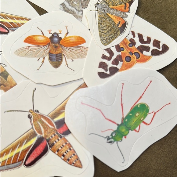 15 Colorful Insect Sticker Set - Picture 3 of 6
